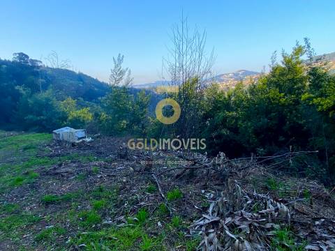 Terreno Florestal