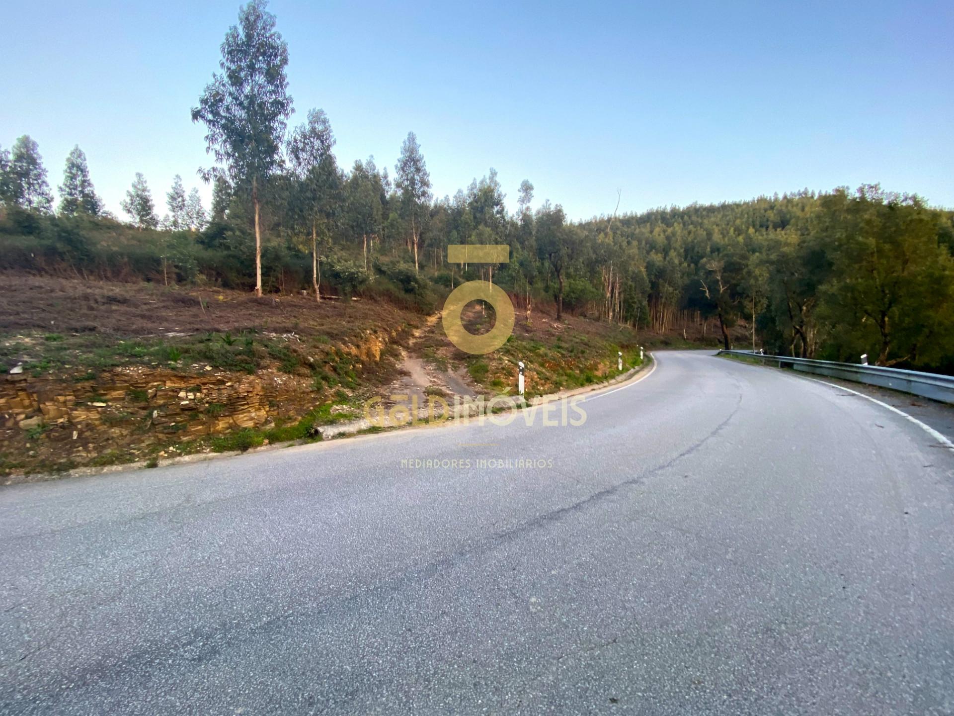 Terreno Florestal