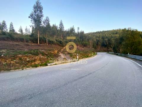 Terreno Florestal