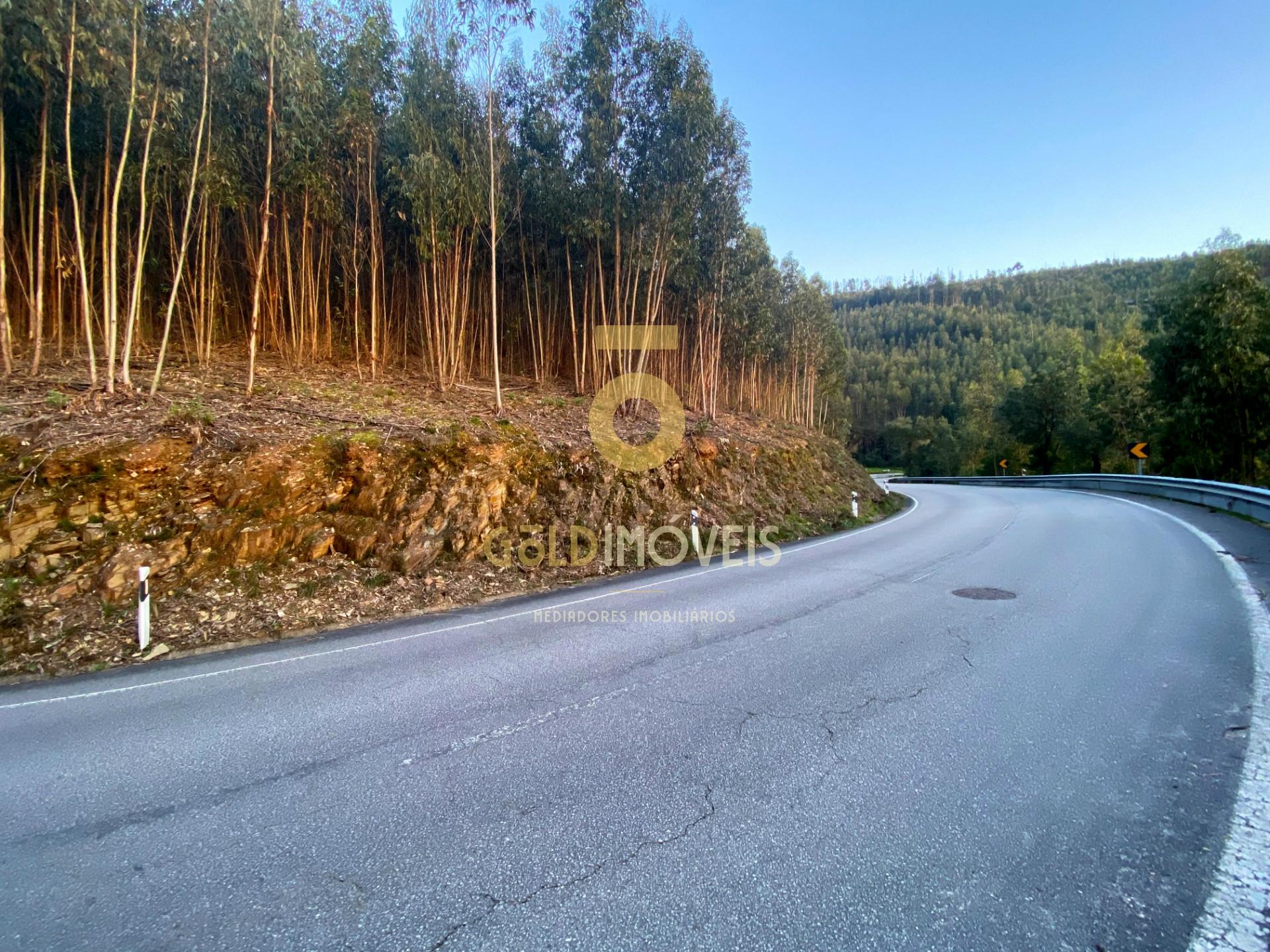 Terreno Florestal