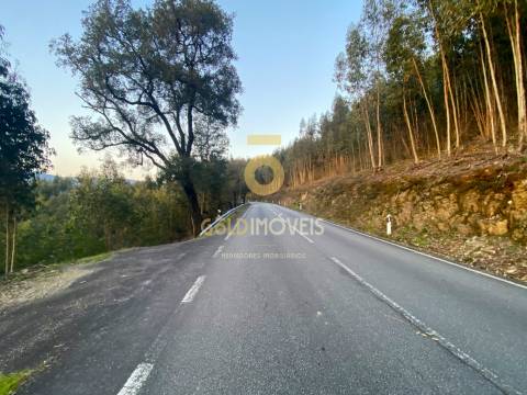 Terreno Florestal