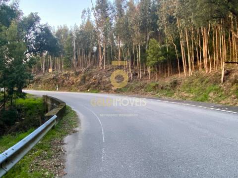 Terreno Florestal