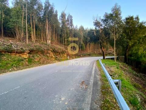 Terreno Florestal