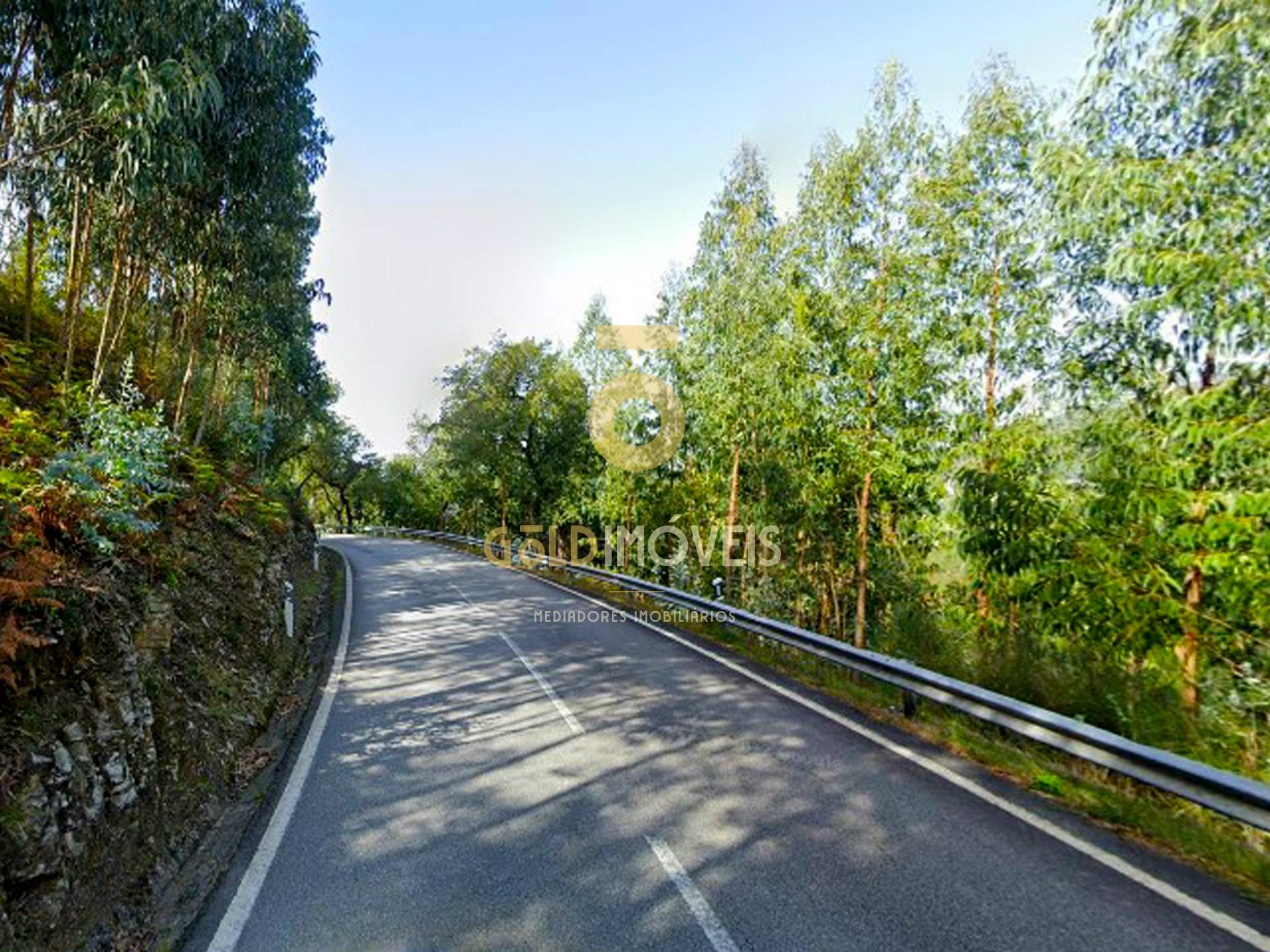 Terreno Florestal em Raiva - Castelo de Paiva