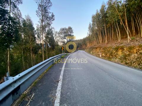 Terreno Florestal