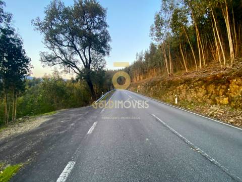 Terreno Florestal