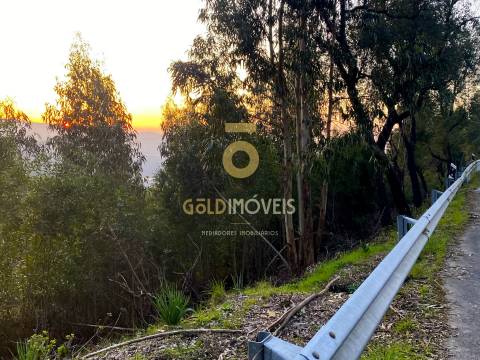 Terreno Florestal