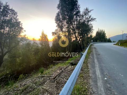 Terreno Florestal