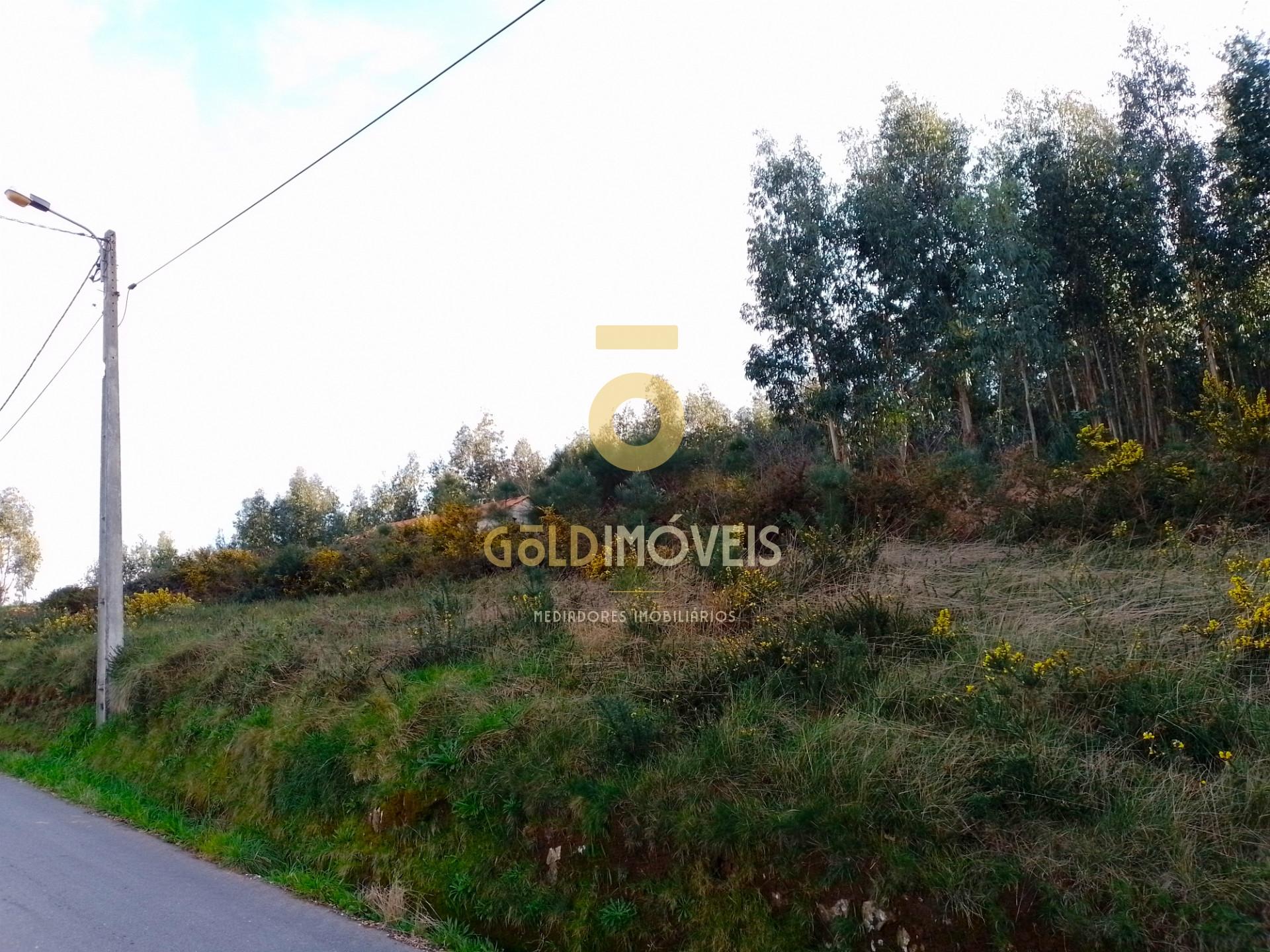 Terreno Florestal