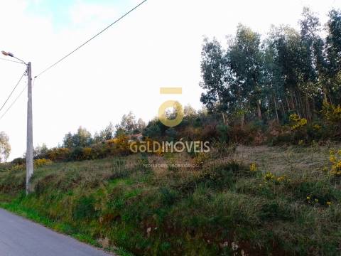 Terreno Florestal