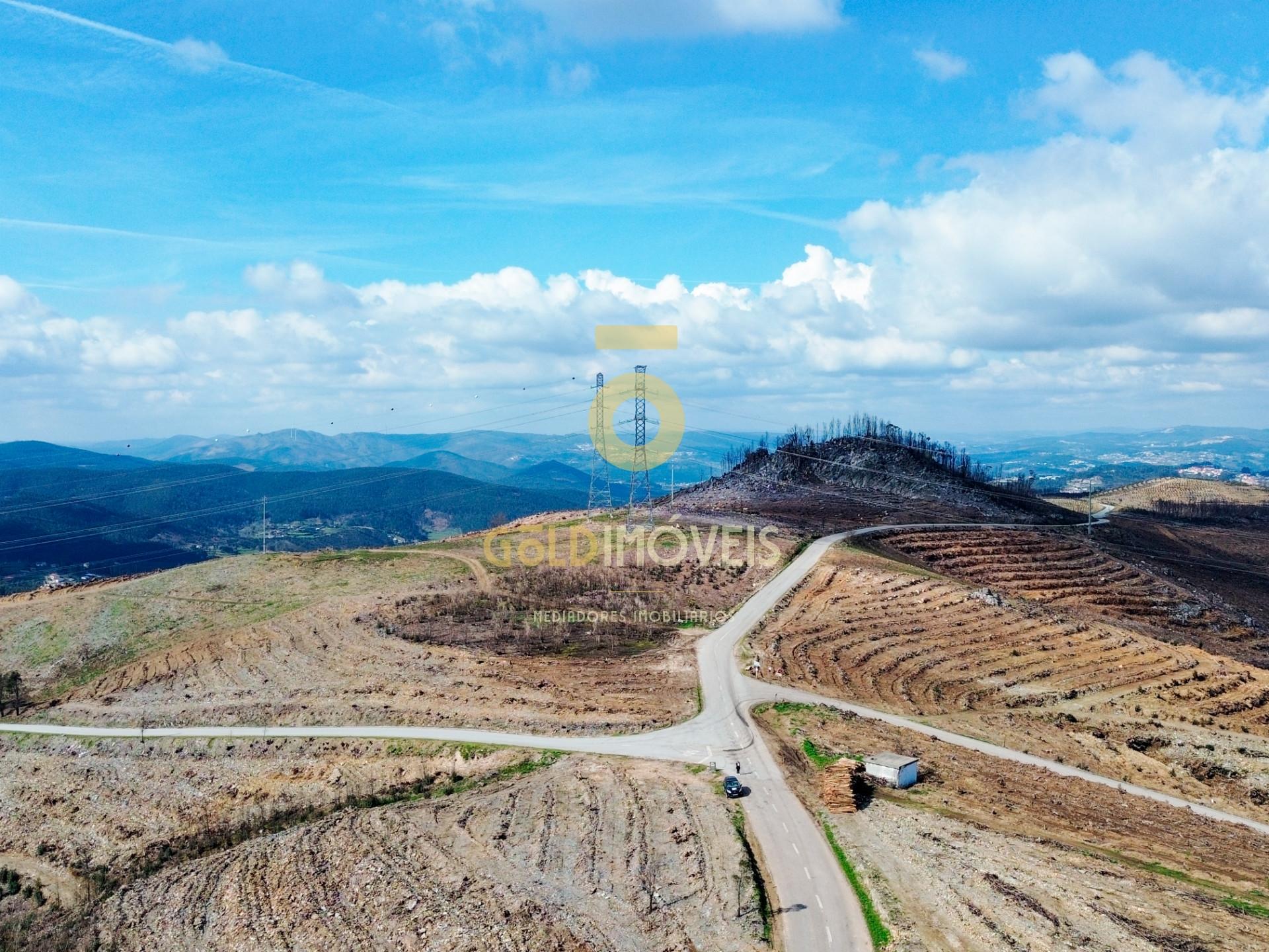 Terreno Florestal em Real - Castelo de Paiva