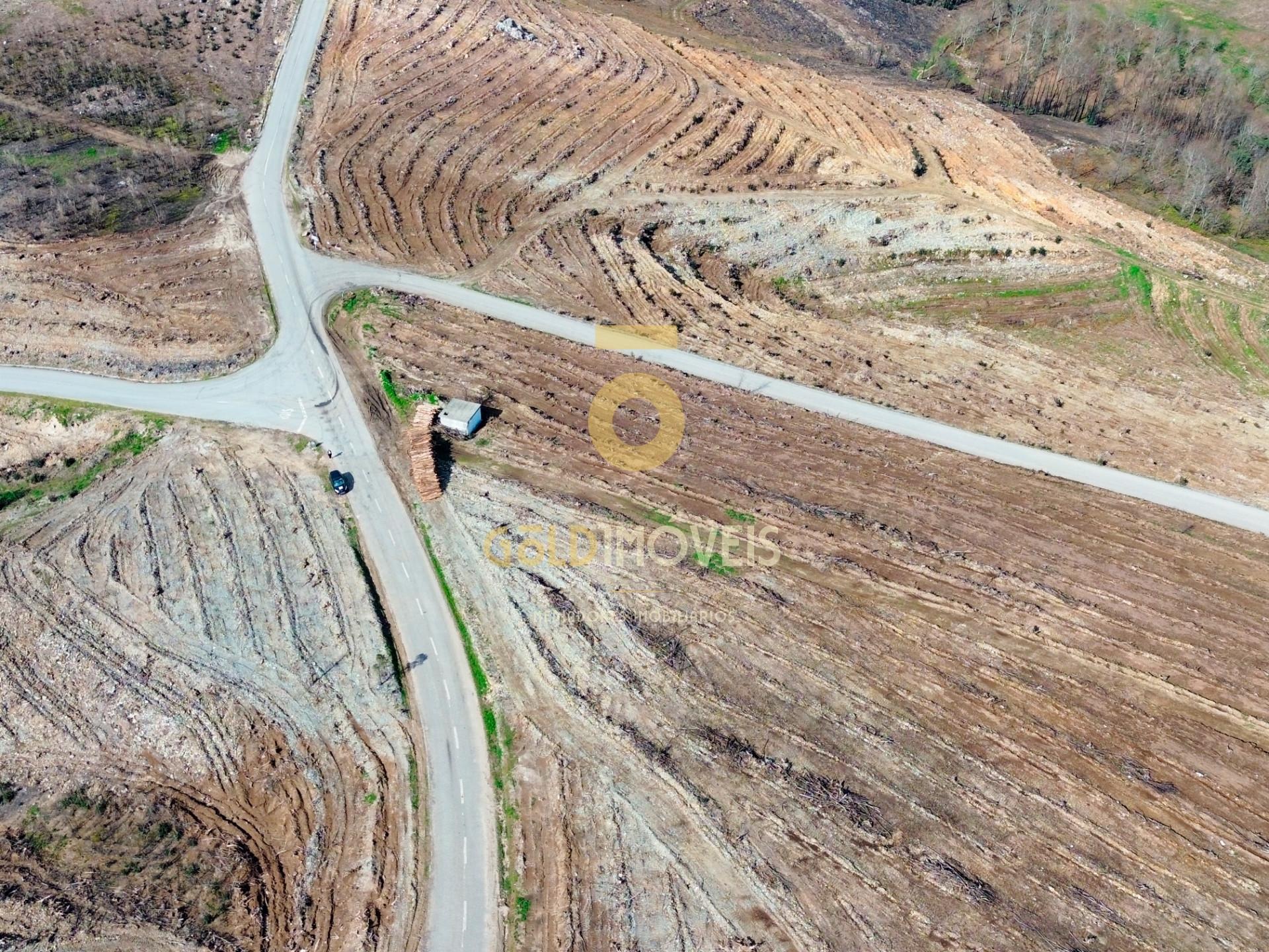 Terreno Florestal em Real - Castelo de Paiva