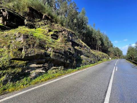 Terreno Rústico  Venda em Raiva, Pedorido e Paraíso,Castelo de Paiva