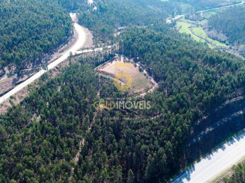 Terreno Florestal