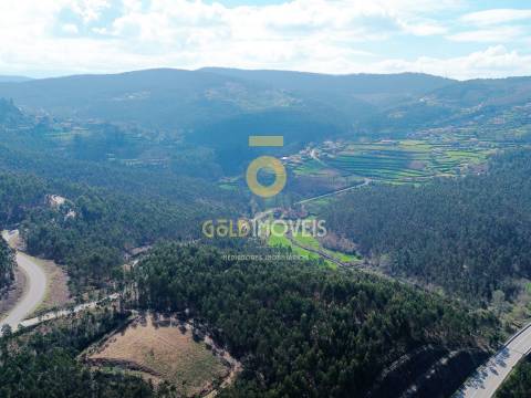 Terreno Florestal