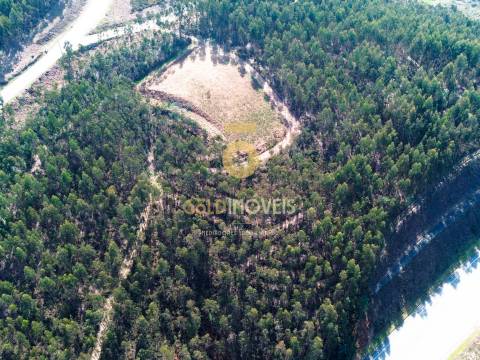 Terreno Florestal