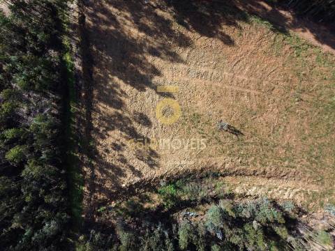 Terreno Florestal