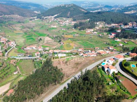 Terreno Florestal