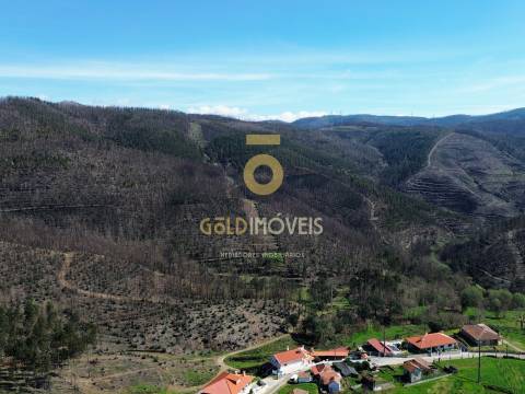 Terreno Para Construção  Venda em Real,Castelo de Paiva