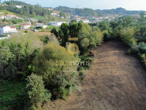 Terreno Rústico  Venda em Vila de Cucujães,Oliveira de Azeméis