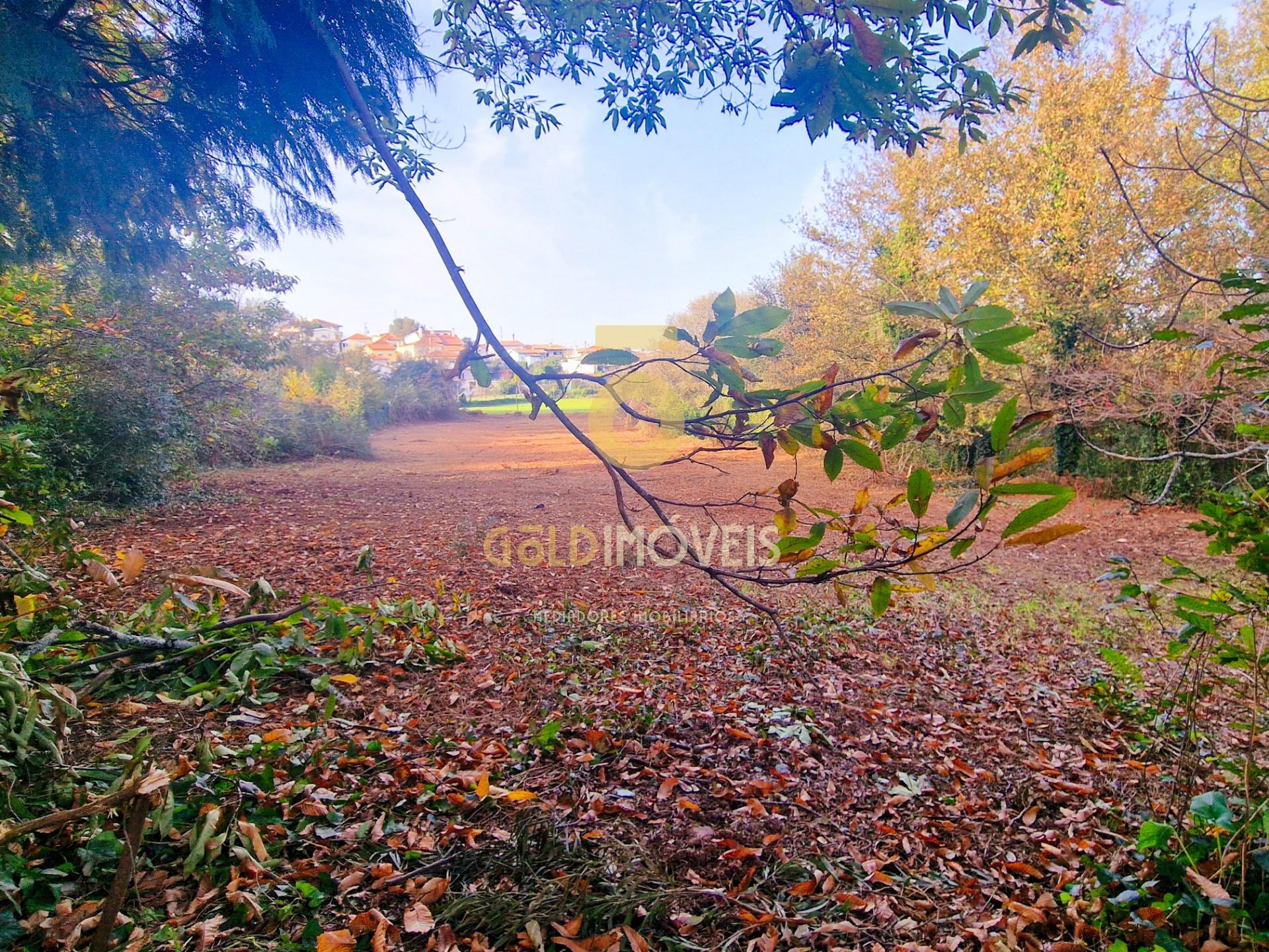 Terreno Rústico  Venda em Vila de Cucujães,Oliveira de Azeméis