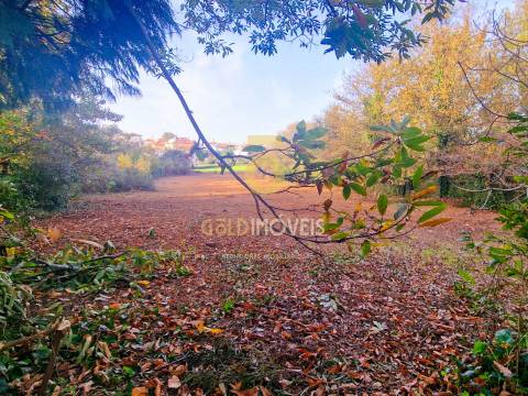 Terreno Rústico  Venda em Vila de Cucujães,Oliveira de Azeméis