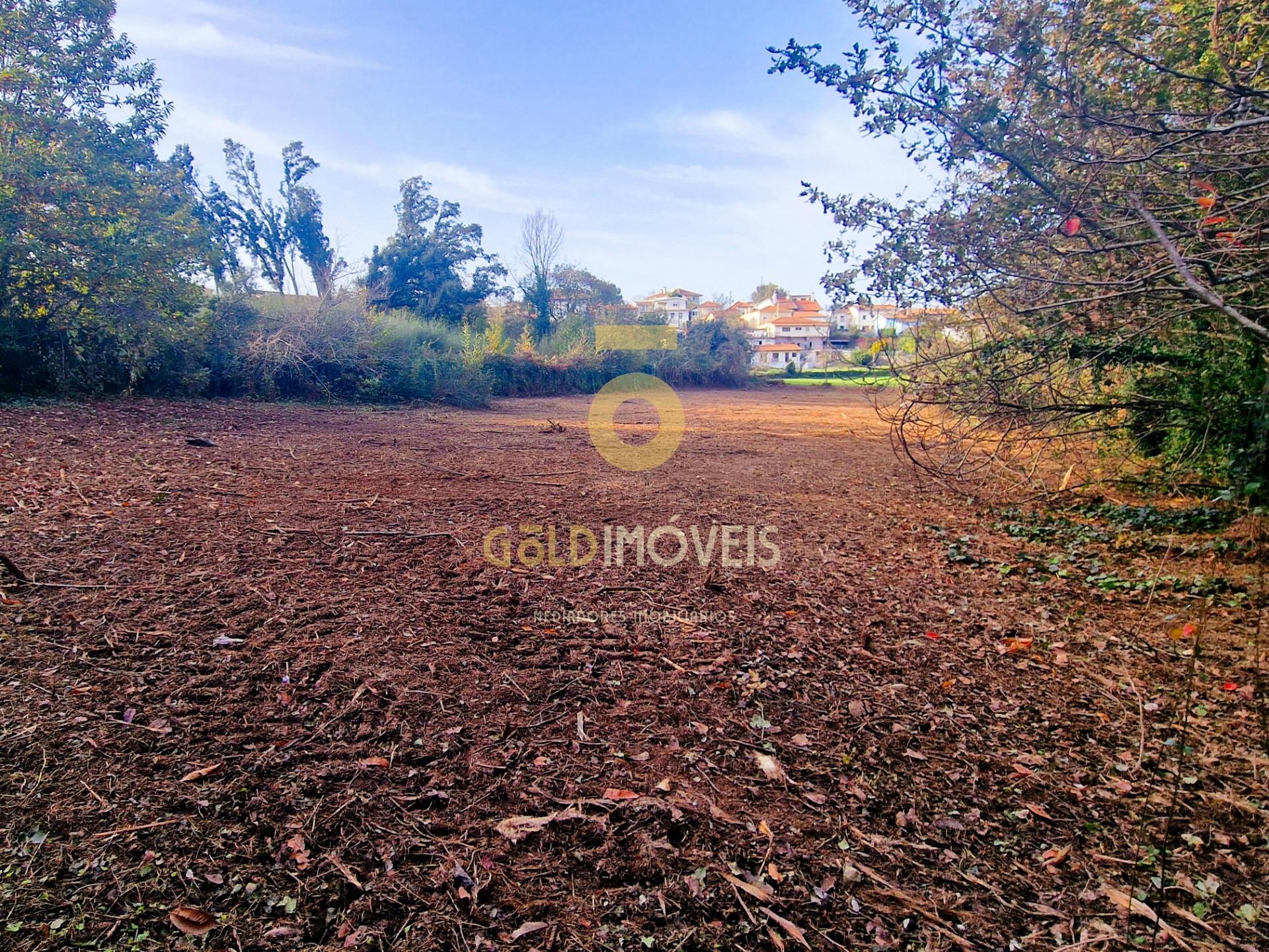 Terreno Rústico  Venda em Vila de Cucujães,Oliveira de Azeméis