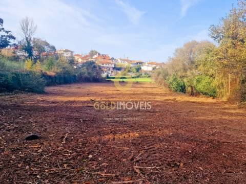 Terreno Rústico  Venda em Vila de Cucujães,Oliveira de Azeméis