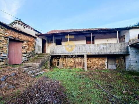 Quintinha T3 Venda em Santa Maria de Sardoura,Castelo de Paiva