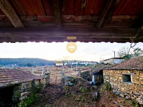 Quintinha T3 Venda em Santa Maria de Sardoura,Castelo de Paiva