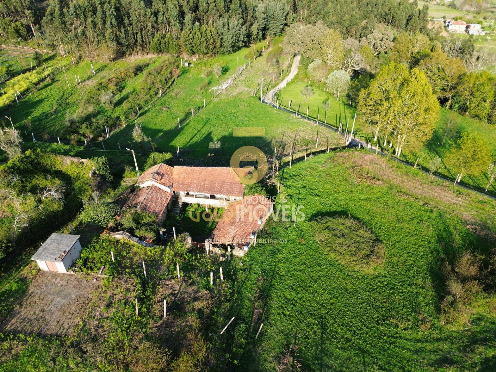 Quintinha T3 Venda em Santa Maria de Sardoura,Castelo de Paiva