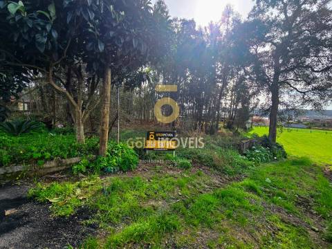 Terreno Rústico  Venda em São Martinho da Gândara,Oliveira de Azeméis