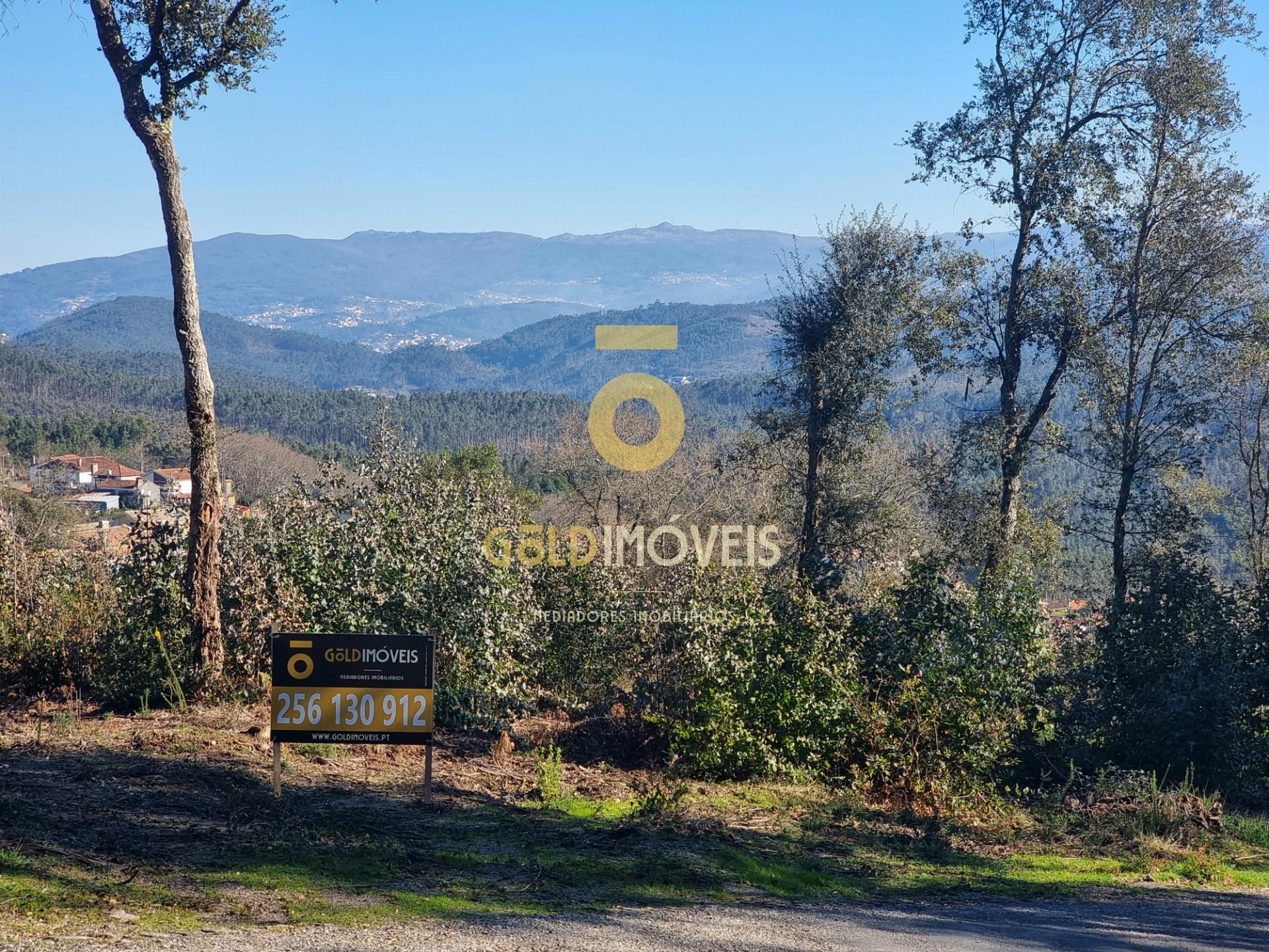 Terreno Urbano  Venda em Pinheiro da Bemposta, Travanca e Palmaz,Oliveira de Azeméis
