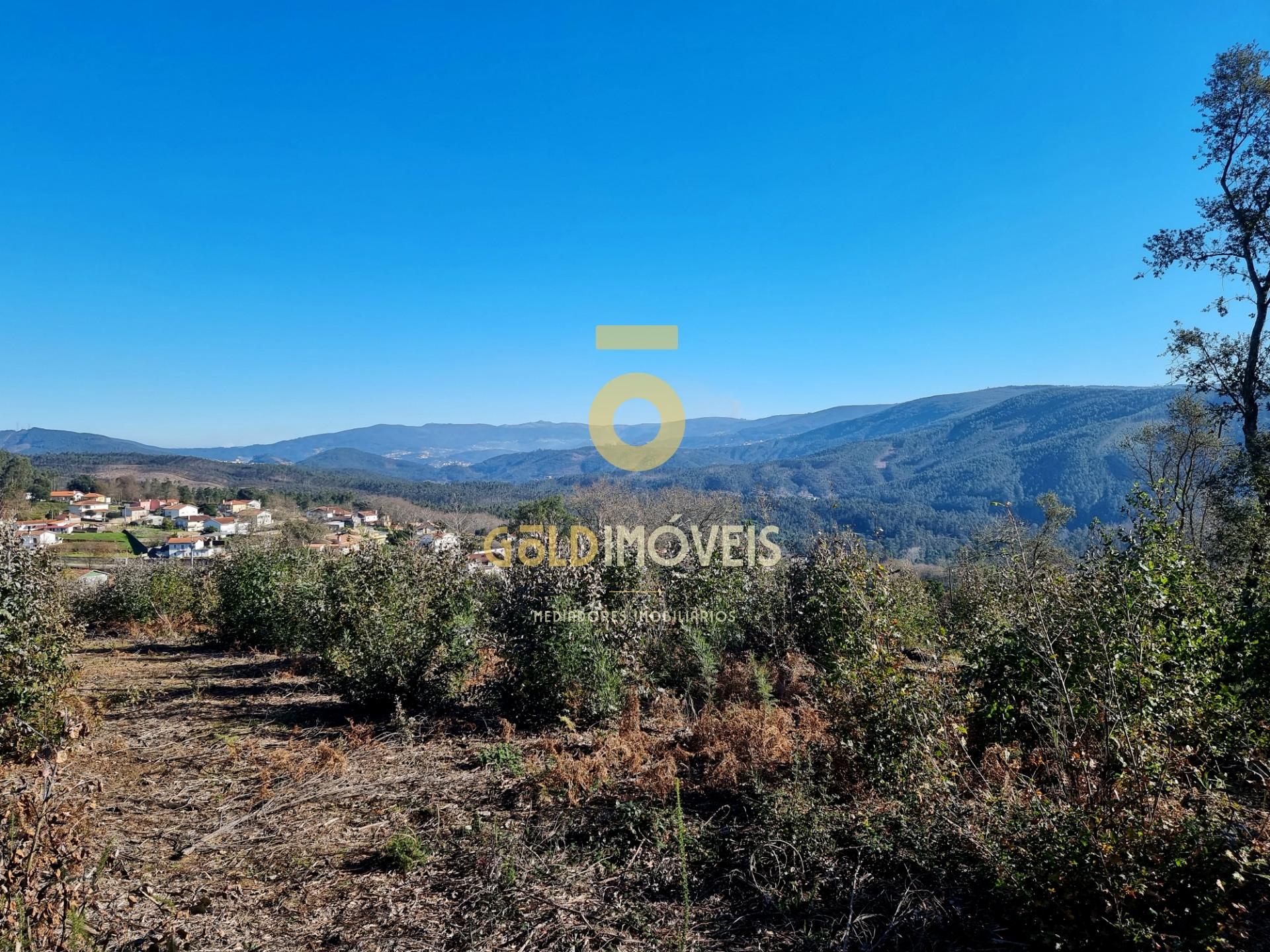 Terreno Urbano  Venda em Pinheiro da Bemposta, Travanca e Palmaz,Oliveira de Azeméis