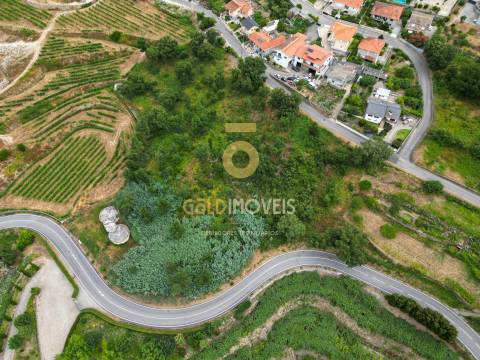 Terreno  Venda em São Martinho de Sardoura,Castelo de Paiva