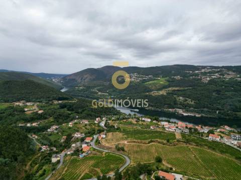 Terreno  Venda em São Martinho de Sardoura,Castelo de Paiva