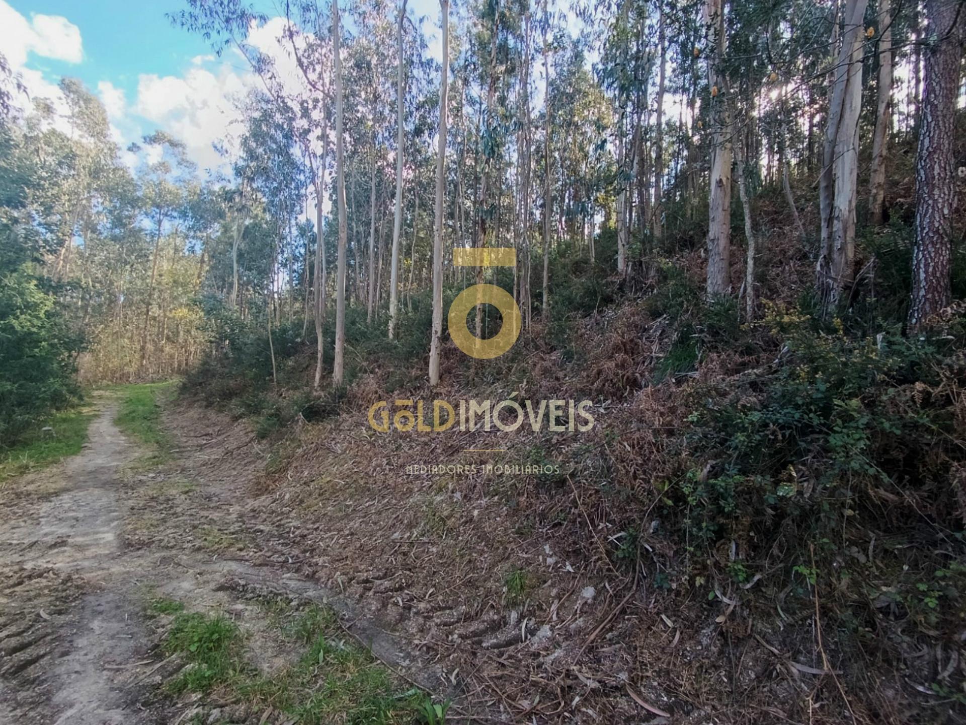 Terreno Rústico  Venda em Galegos,Penafiel