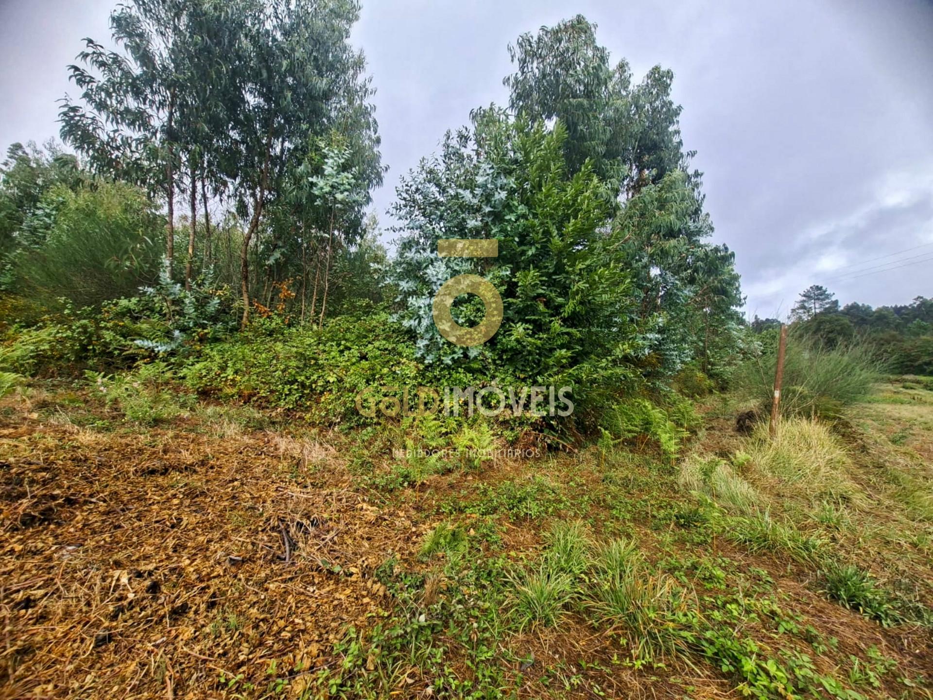 Terreno Para Construção  Venda em Sanguedo,Santa Maria da Feira