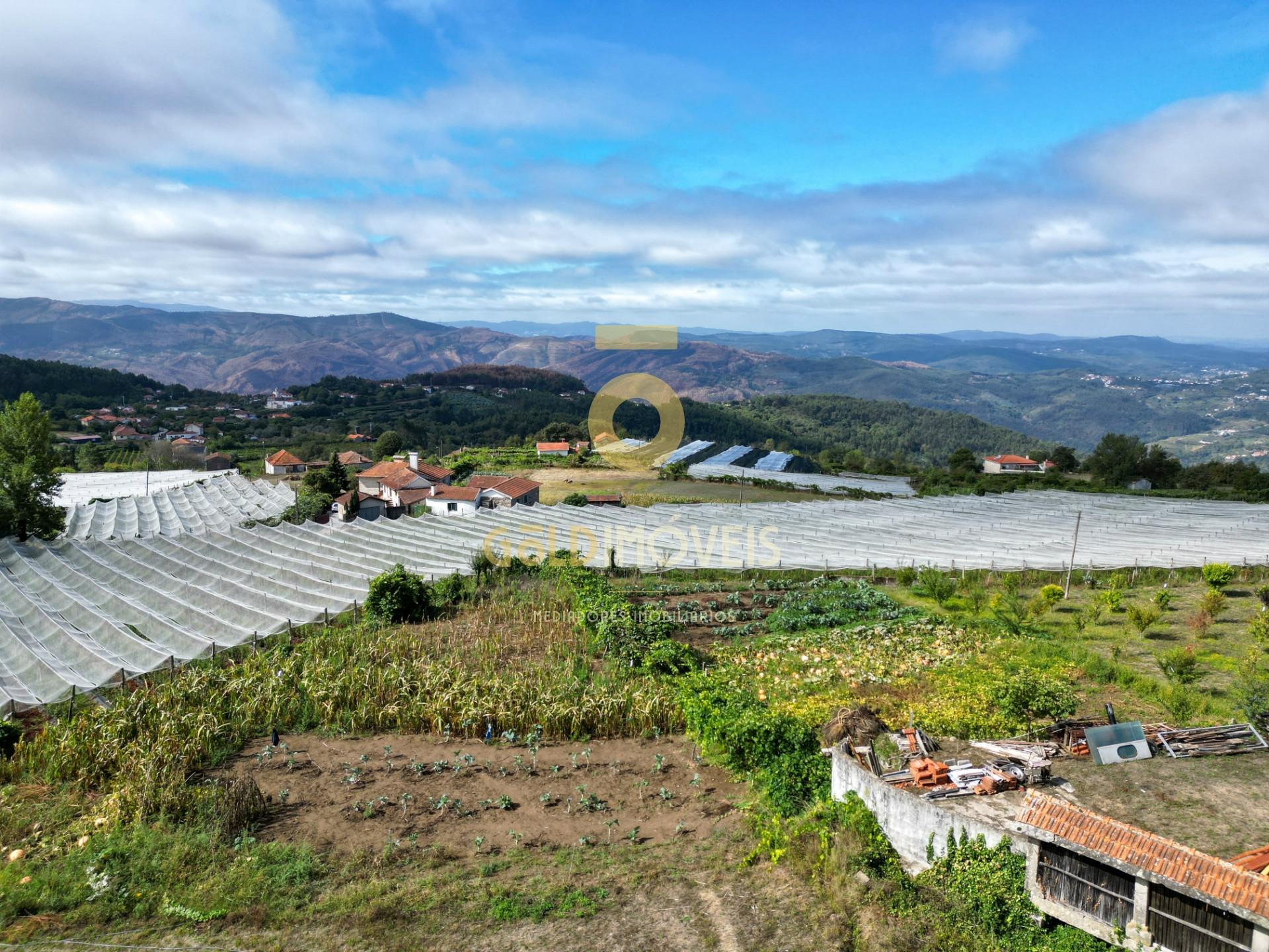 Moradia T3 Venda em Fornelos,Cinfães