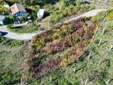 Terreno Para Construção  Venda em Santa Maria de Sardoura,Castelo de Paiva