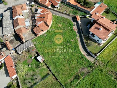 Terreno Rústico  Venda em Oliveira de Azeméis, Santiago de Riba-Ul, Ul, Macinhata da Seixa e Madail,Oliveira de Azeméis