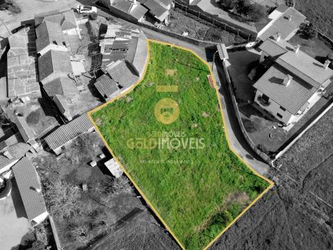 Terreno Rústico  Venda em Oliveira de Azeméis, Santiago de Riba-Ul, Ul, Macinhata da Seixa e Madail,Oliveira de Azeméis