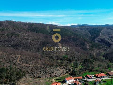 Terreno Para Construção  Venda em Real,Castelo de Paiva