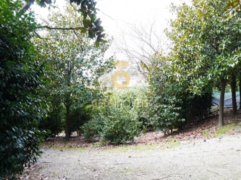 Quinta T4 Venda em Lemenhe, Mouquim e Jesufrei,Vila Nova de Famalicão