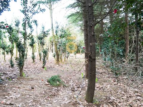 Quinta T4 Venda em Lemenhe, Mouquim e Jesufrei,Vila Nova de Famalicão