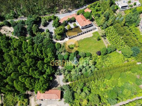 Quinta T4 Venda em Lemenhe, Mouquim e Jesufrei,Vila Nova de Famalicão