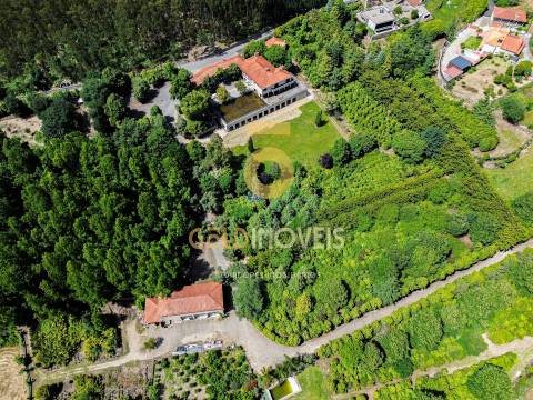 Quinta T4 Venda em Lemenhe, Mouquim e Jesufrei,Vila Nova de Famalicão