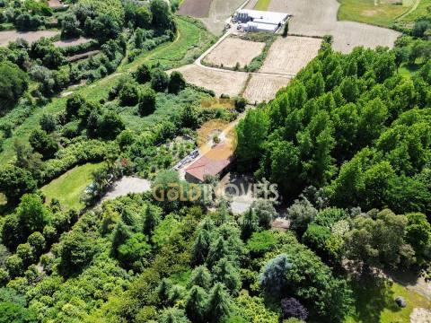 Quinta T4 Venda em Lemenhe, Mouquim e Jesufrei,Vila Nova de Famalicão