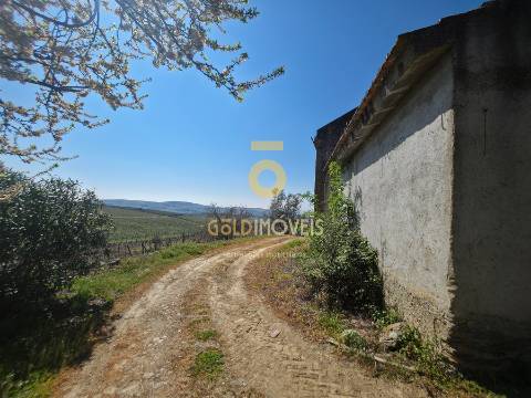 Quinta  Venda em Alijó,Alijó