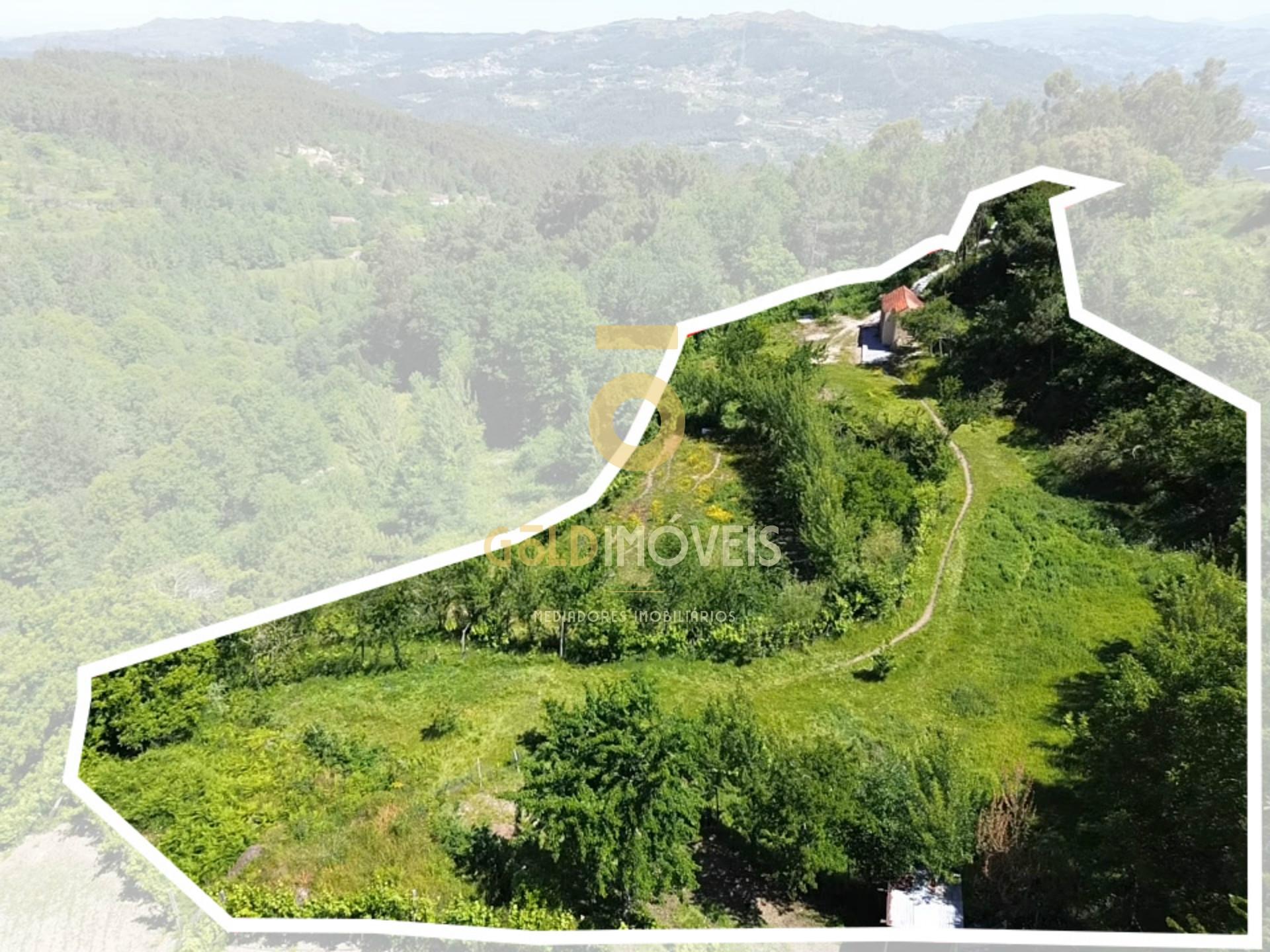 Terreno Rústico  Arrendamento em Santiago de Piães,Cinfães